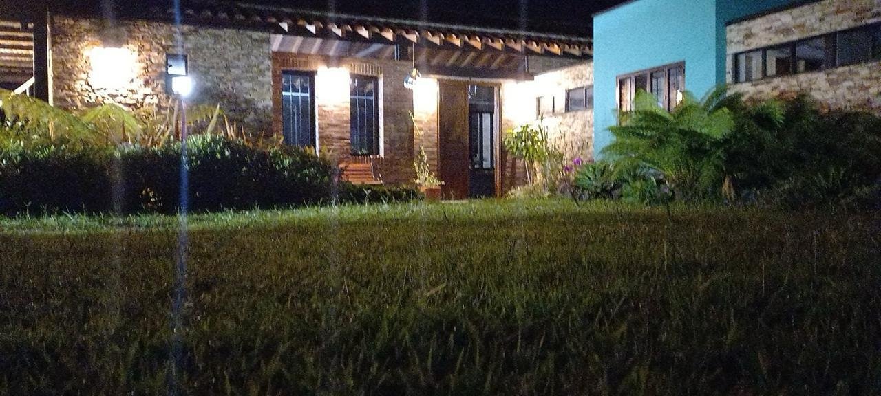 Jardín e iluminación exterior nocturna